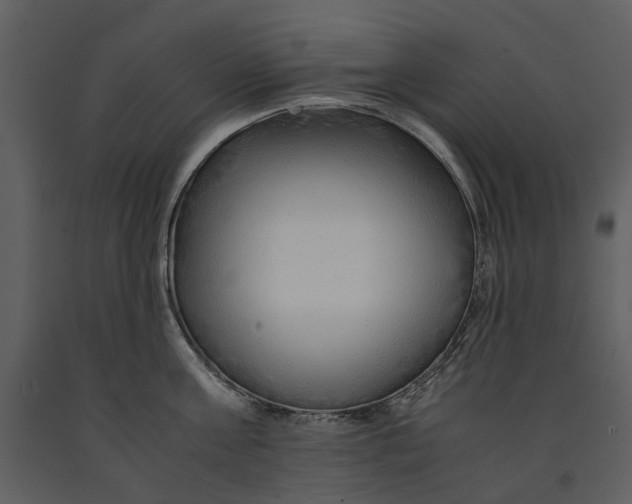 X0000090960811200708241151