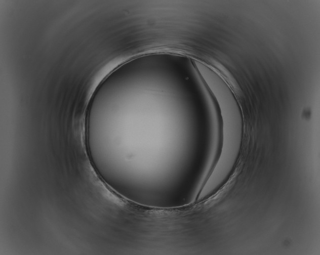 X0000090960812200708241151