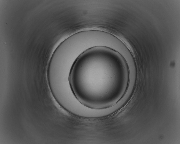 X0000090960813200708241151
