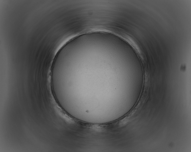 X0000090960814200708241151