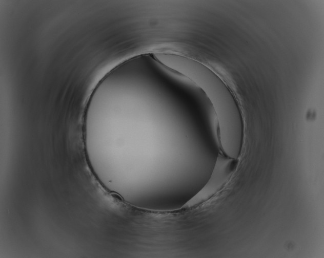 X0000090960816200708241151