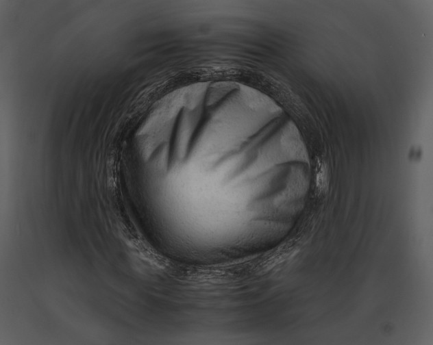 X0000090960819200708241150