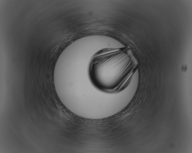 X0000090960820200708241150