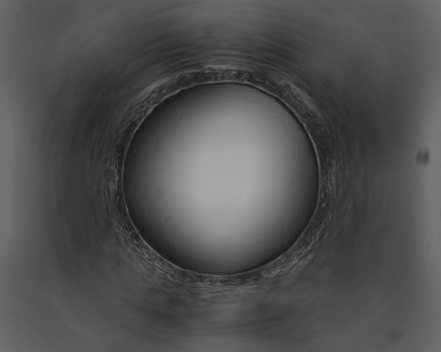 X0000090960821200708241150