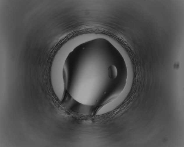 X0000090960822200708241150