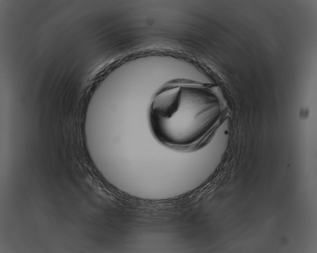 X0000090960824200708241150