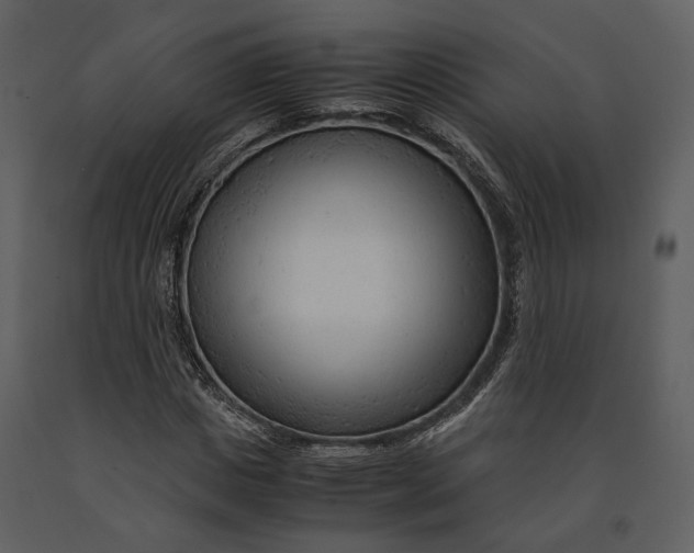 X0000090960825200708241150