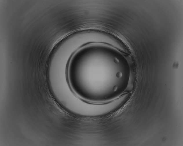 X0000090960826200708241150