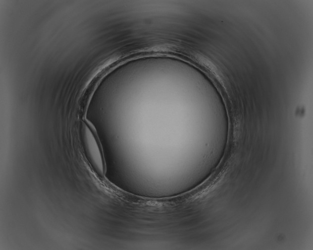 X0000090960827200708241150