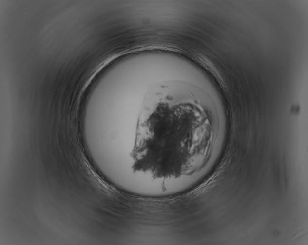 X0000090960828200708241150