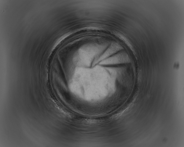 X0000090960829200708241150