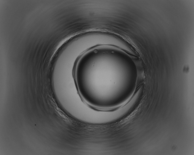 X0000090960830200708241150