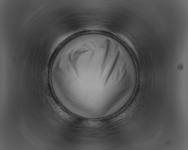X0000090960831200708241150