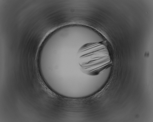 X0000090960832200708241150