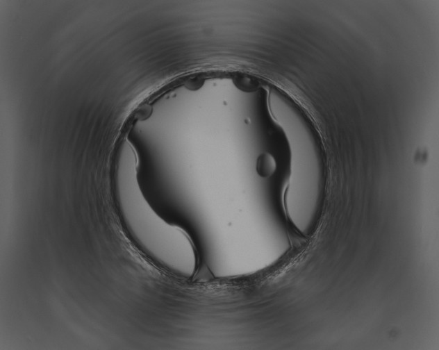 X0000090960834200708241150