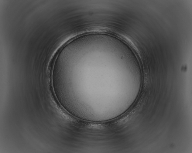 X0000090960835200708241150