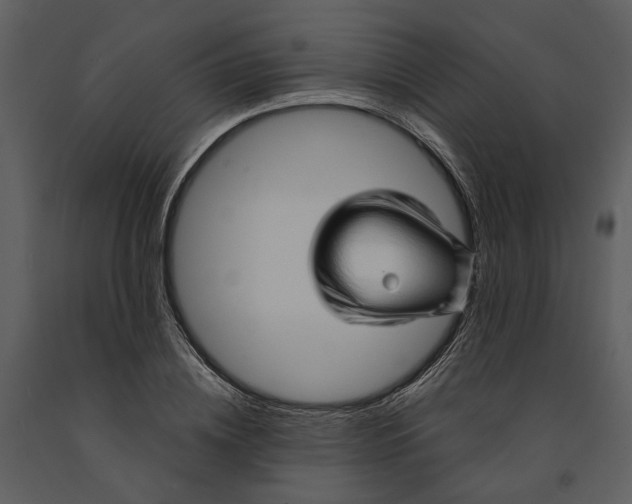 X0000090960836200708241150