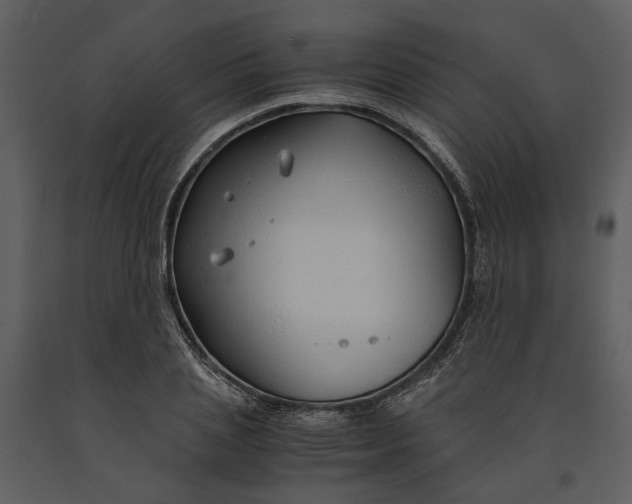 X0000090960837200708241150