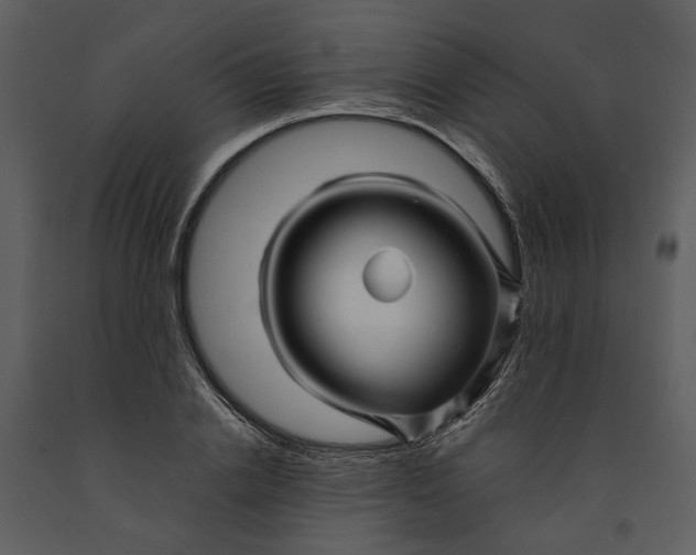 X0000090960838200708241150