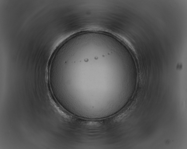 X0000090960839200708241150
