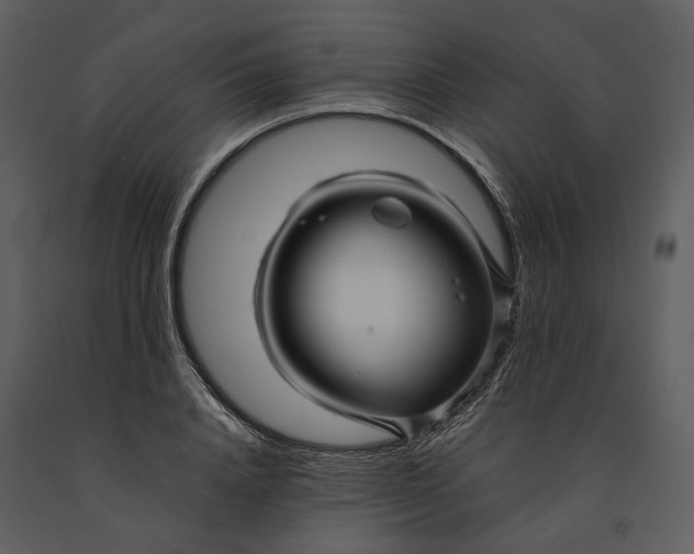 X0000090960840200708241150