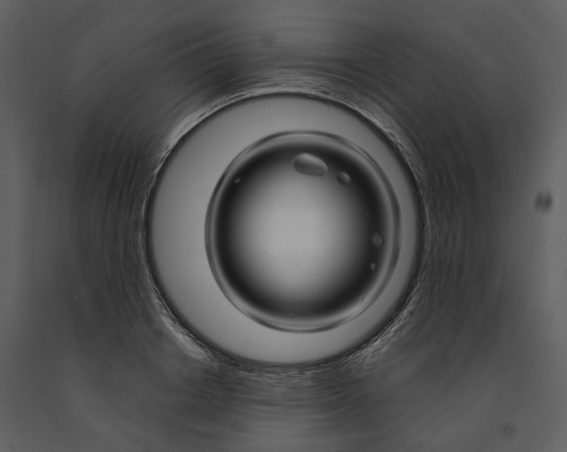 X0000090960842200708241150