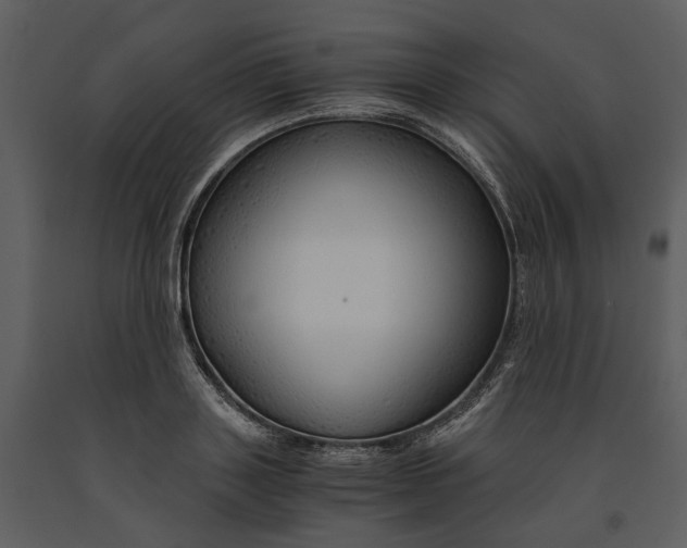 X0000090960843200708241150