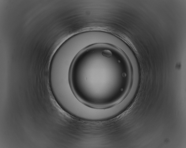 X0000090960844200708241150