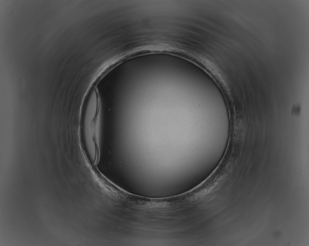 X0000090960845200708241150