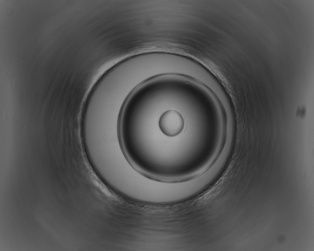 X0000090960846200708241150