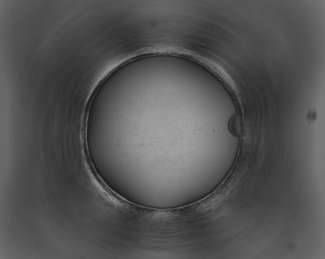 X0000090960847200708241151