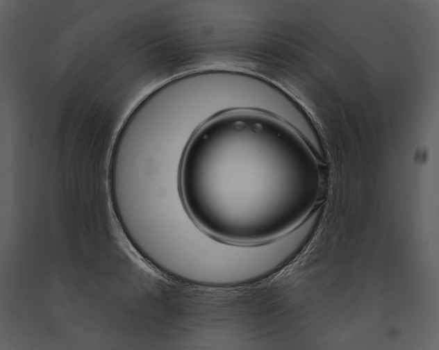 X0000090960848200708241151