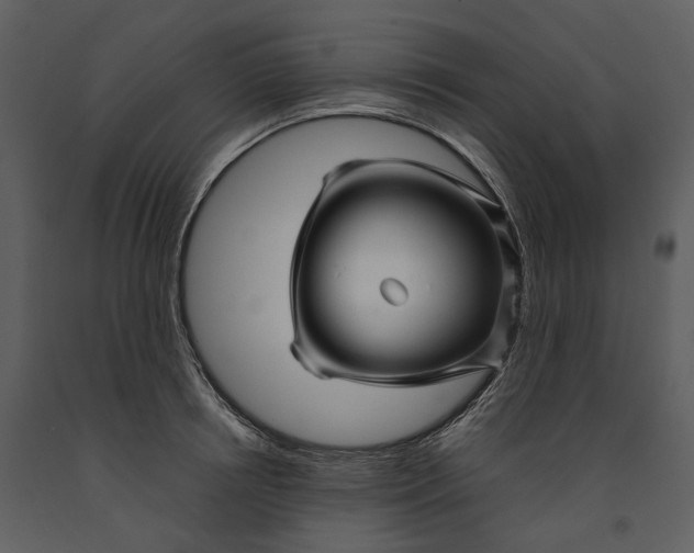 X0000090960850200708241151