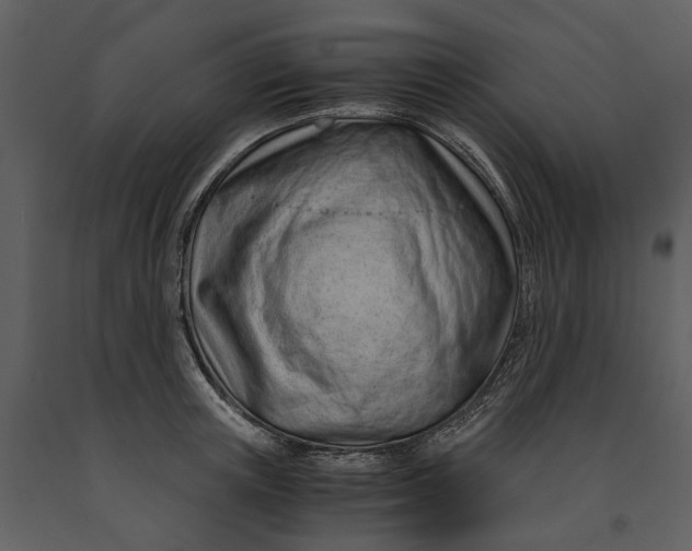 X0000090960851200708241151