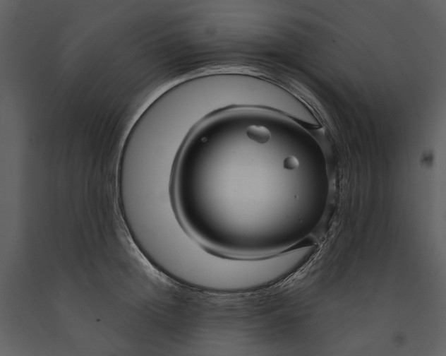 X0000090960852200708241151