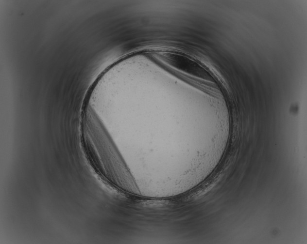 X0000090960853200708241151