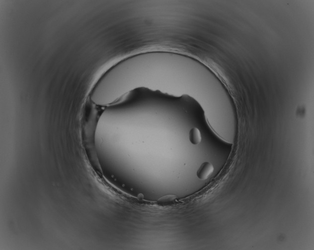 X0000090960854200708241151