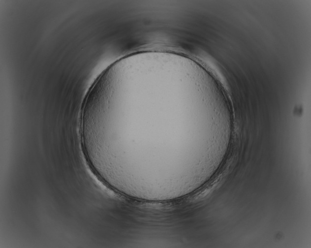 X0000090960855200708241151