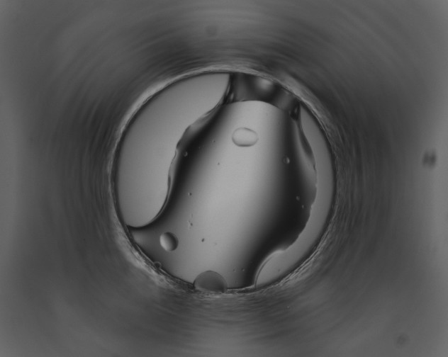 X0000090960856200708241151