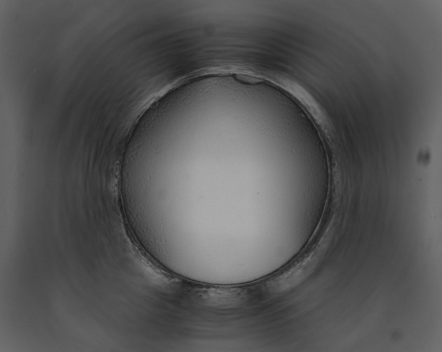 X0000090960857200708241151