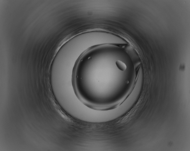 X0000090960858200708241151