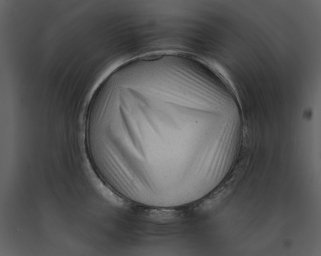 X0000090960859200708241151