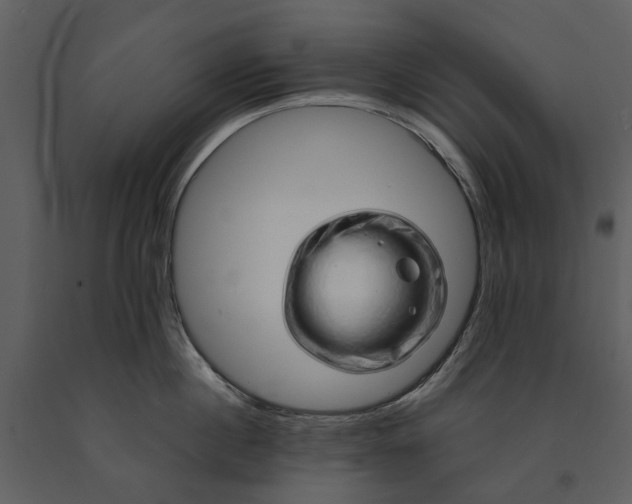 X0000090960860200708241151