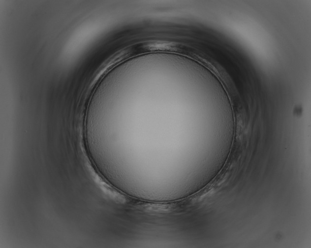 X0000090960861200708241151