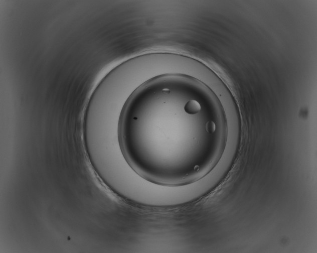 X0000090960862200708241151