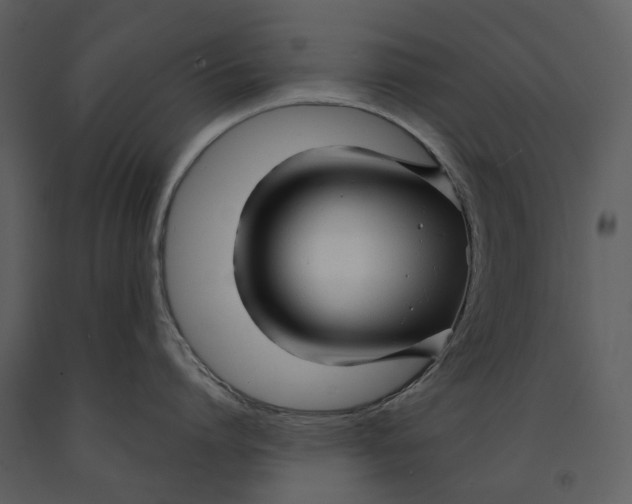 X0000090960864200708241151