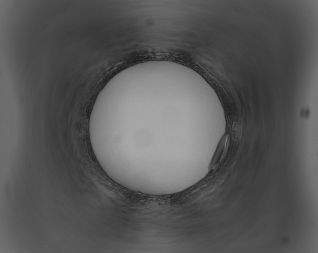 X0000090960865200708241150