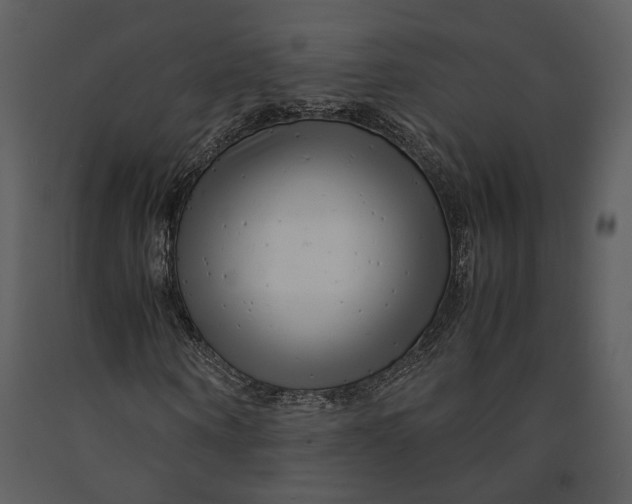 X0000090960866200708241150