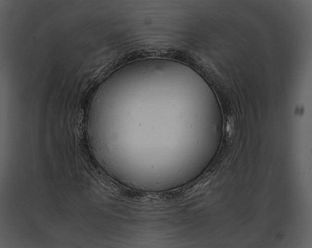 X0000090960867200708241150