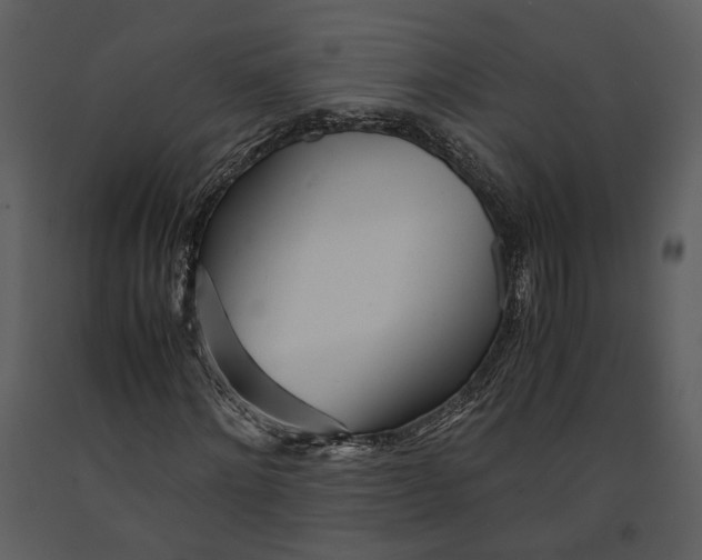X0000090960868200708241150